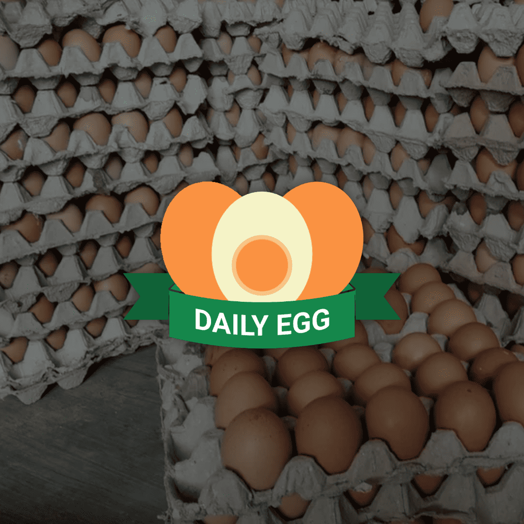 Daily Egg
